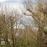 Апартаменты Le Parc De La Jacotte-7 By Interhome